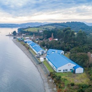 Salmofood acquires Chilean aquaculture research center