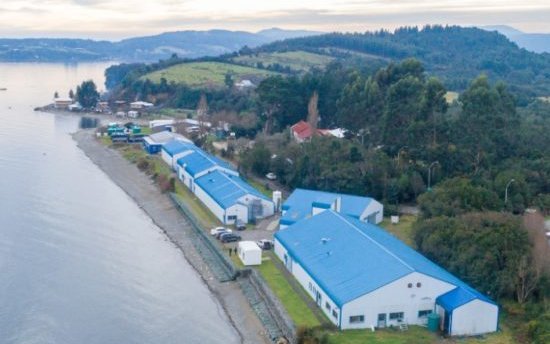 Salmofood acquires Chilean aquaculture research center