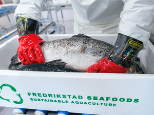 Fredrikstad Seafoods and BioMar extend their agreement for RAS feeds