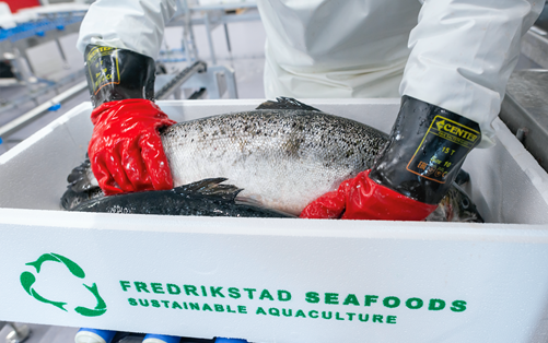 Fredrikstad Seafoods and BioMar extend their agreement for RAS feeds