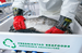 Fredrikstad Seafoods and BioMar extend their agreement for RAS feeds