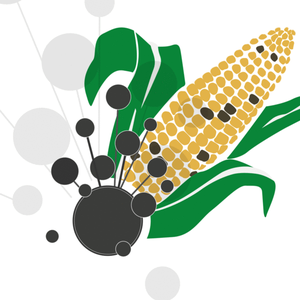 Biomin mycotoxin survey Q2 2021