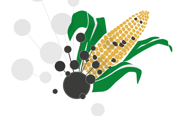 Biomin mycotoxin survey Q2 2021