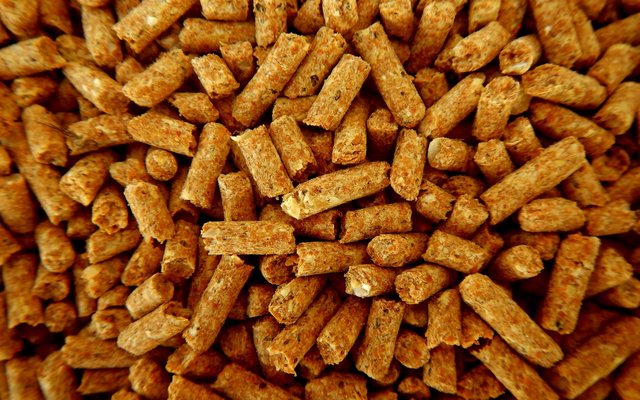 FDA proposes new rule for animal feed accreditation