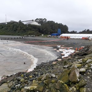 288-ton feed spill due to dock collapse in Chile