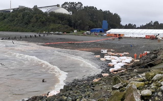 288-ton feed spill due to dock collapse in Chile
