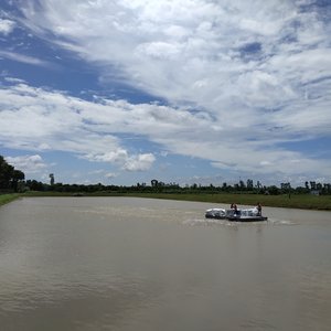 Aquafeed value chain analysis of striped catfish in Vietnam