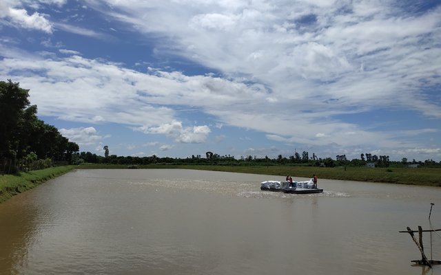 Aquafeed value chain analysis of striped catfish in Vietnam