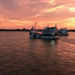Gulf of Thailand Mixed Trawl Fishery Improvement Project fishery accepted into MarinTrust