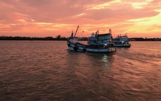 Gulf of Thailand Mixed Trawl Fishery Improvement Project fishery accepted into MarinTrust