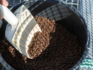 High levels of unwanted substances in Norwegian fish feeds