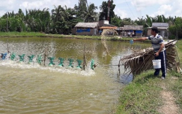 Nutritious pond feed yields more protein with lower quality feed