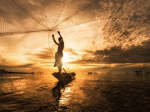 New record for global aquaculture production, FAOs 2022 SOFIA reports