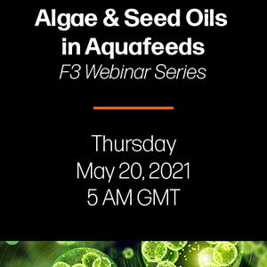 Join F3 Webinar on algae and seed oils in aquafeeds