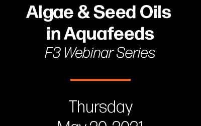 Join F3 Webinar on algae and seed oils in aquafeeds