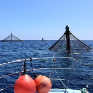 NOAA selects first two aquaculture opportunity areas in the U.S.