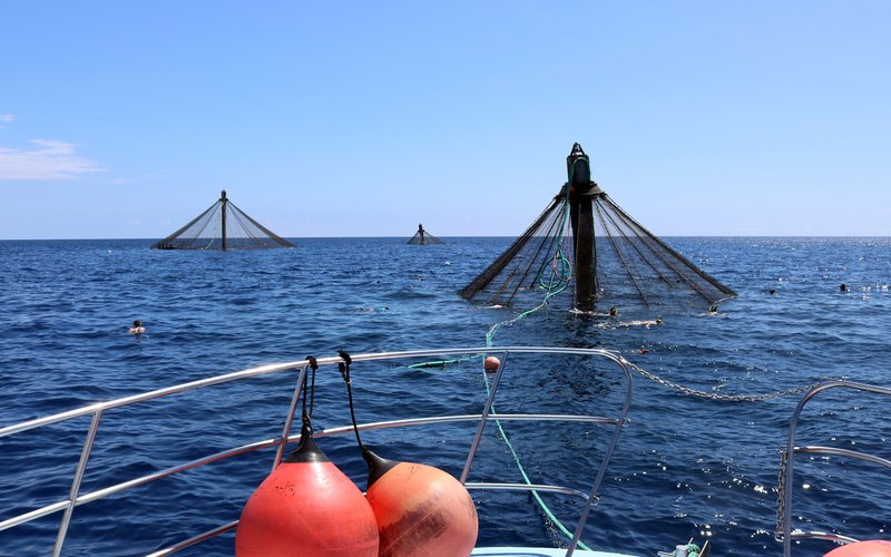 NOAA selects first two aquaculture opportunity areas in the U.S.