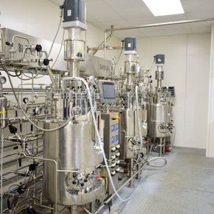 Lallemand Animal Nutrition extends its bacteria production capacity with energy-efficient equipment