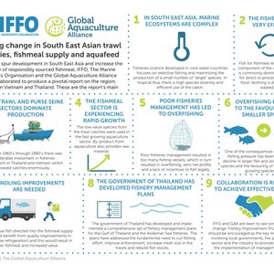 Addressing the challenges in Southeast Asian fisheries