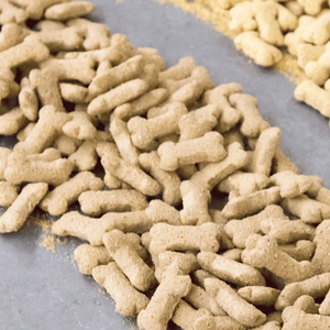 Register for short course on extruded pet foods and treats