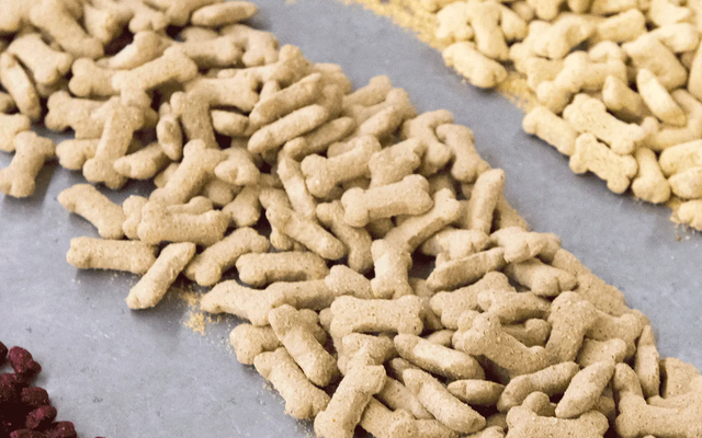 Register for short course on extruded pet foods and treats