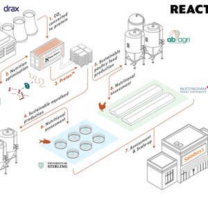 UK carbon recycling project to create sustainable protein feed sources