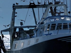 IFFO predicts an increase in 2020 fishmeal and fish oil outputs