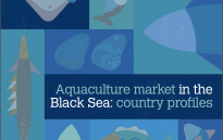 Recent boom in aquaculture under threat in the Black Sea region