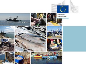 EU trade balance deficit for aquaculture products