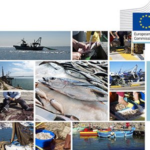 EU trade balance deficit for aquaculture products