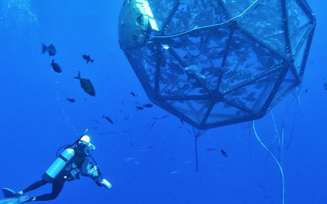 Senators back U.S. offshore aquaculture