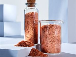 Krill meal exhibits highest protein and amino acid digestibility in shrimp diets