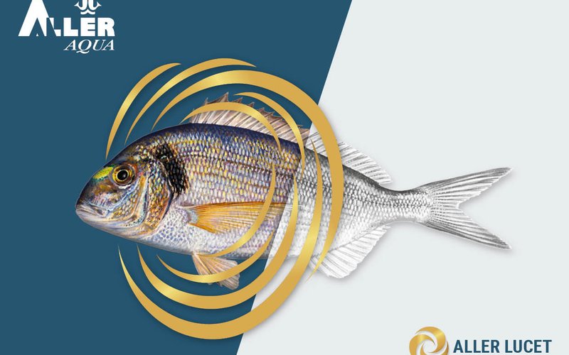 Aller Aqua introduces new diet to increase seabream coloration