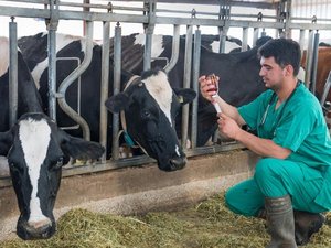 EU veterinary drug residues in food, the lowest in a decade
