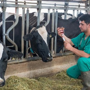 EU veterinary drug residues in food, the lowest in a decade