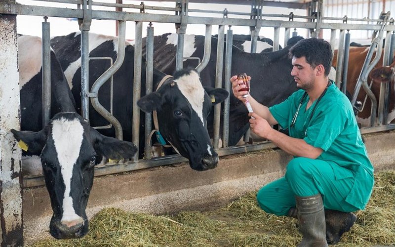 EU veterinary drug residues in food, the lowest in a decade