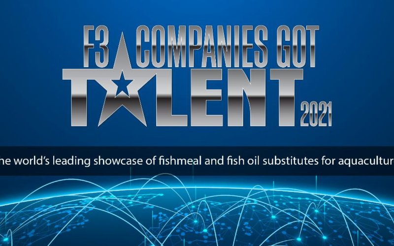 Join top insect producers discuss breakthroughs and challenges of fishmeal replacement