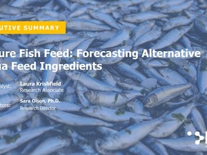 Report forecasts 600,000MT of alternative proteins for aquafeed by 2024