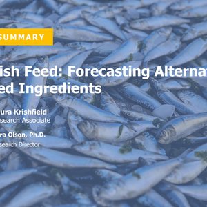 Report forecasts 600,000MT of alternative proteins for aquafeed by 2024