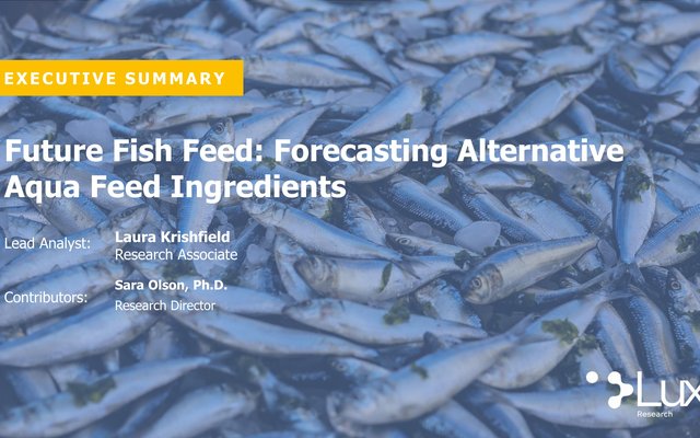 Report forecasts 600,000MT of alternative proteins for aquafeed by 2024