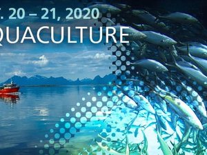 Join the aquaculture sessions of Alltech ONE Virtual Experience