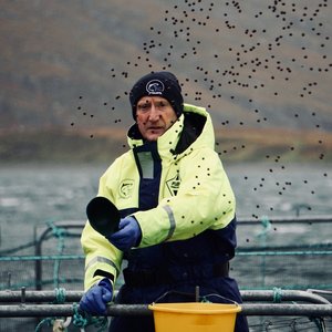 Scottish salmon industry pledges 100% sustainable fish feed