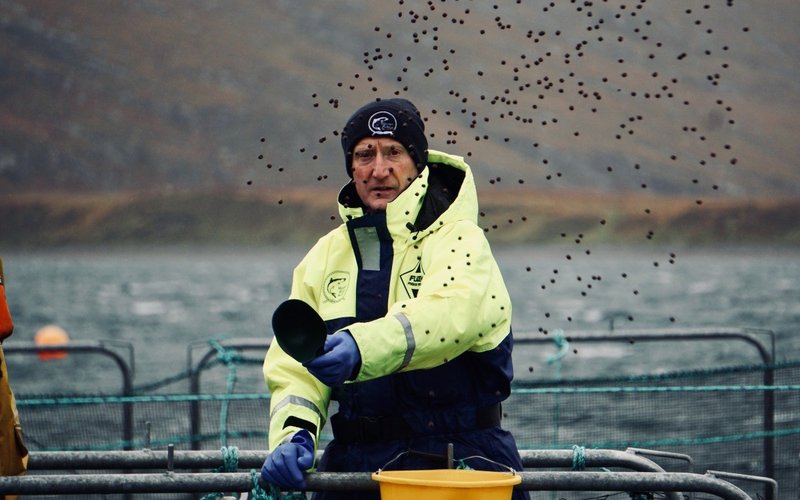 Scottish salmon industry pledges 100% sustainable fish feed