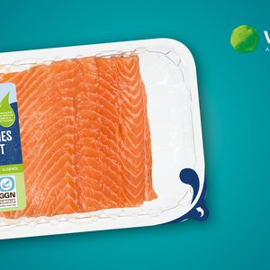 Kaufland becomes the first German retailer to introduce algal-fed salmon