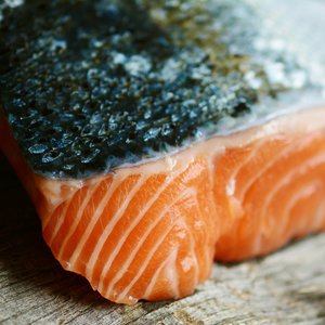 Schizochytrium limacinum improves growth and filet quality in salmon