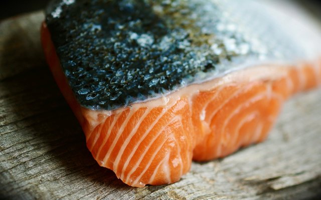 Schizochytrium limacinum improves growth and filet quality in salmon