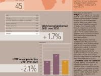 World cereal inventories expected to rise