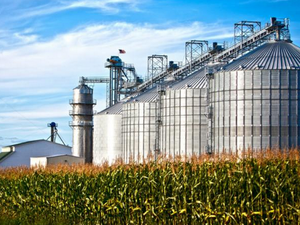 Animal feed co-products from EU bioethanol production increase in 2021