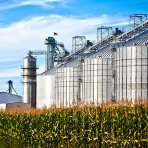 Animal feed co-products from EU bioethanol production increase in 2021