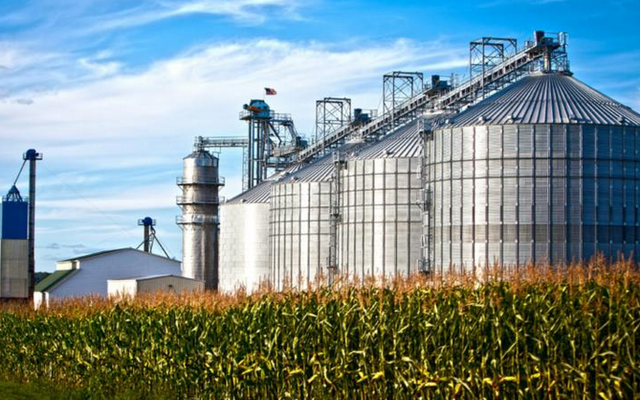 Animal feed co-products from EU bioethanol production increase in 2021